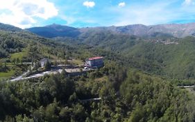Albergo Payarin